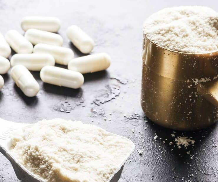 Créatine en gélules ou en poudre : quel format est vraiment le plus efficace ?