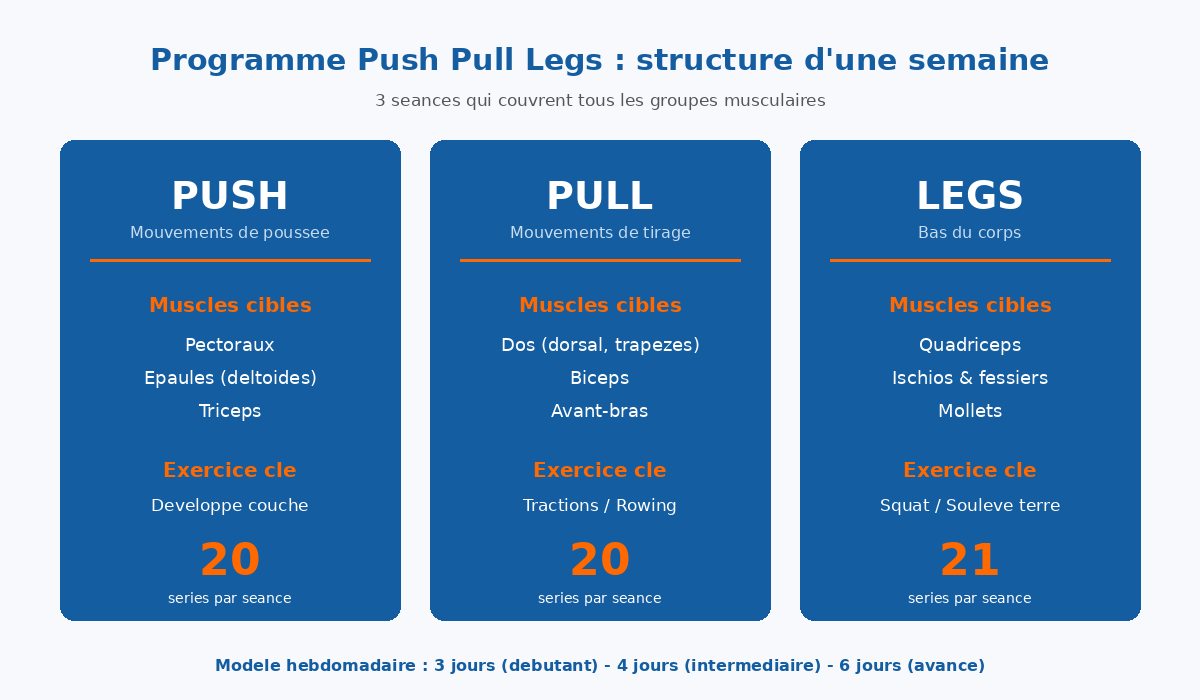 Infographie programme Push Pull Legs : structure des 3 seances PPL avec muscles cibles et exercices cles